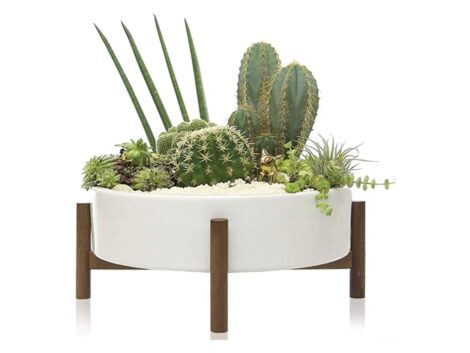 Kimisty-10-Inch-Mid-Century-Large-Round-Succulent-Planter-Bowl-with-Drainage-White-Ceramic-Pot-with-Wood-Stand-Succulent-Garden-Shallow-Pot-Tabletop-Centerpiece-Includes-Decorative-White-Pebbles.