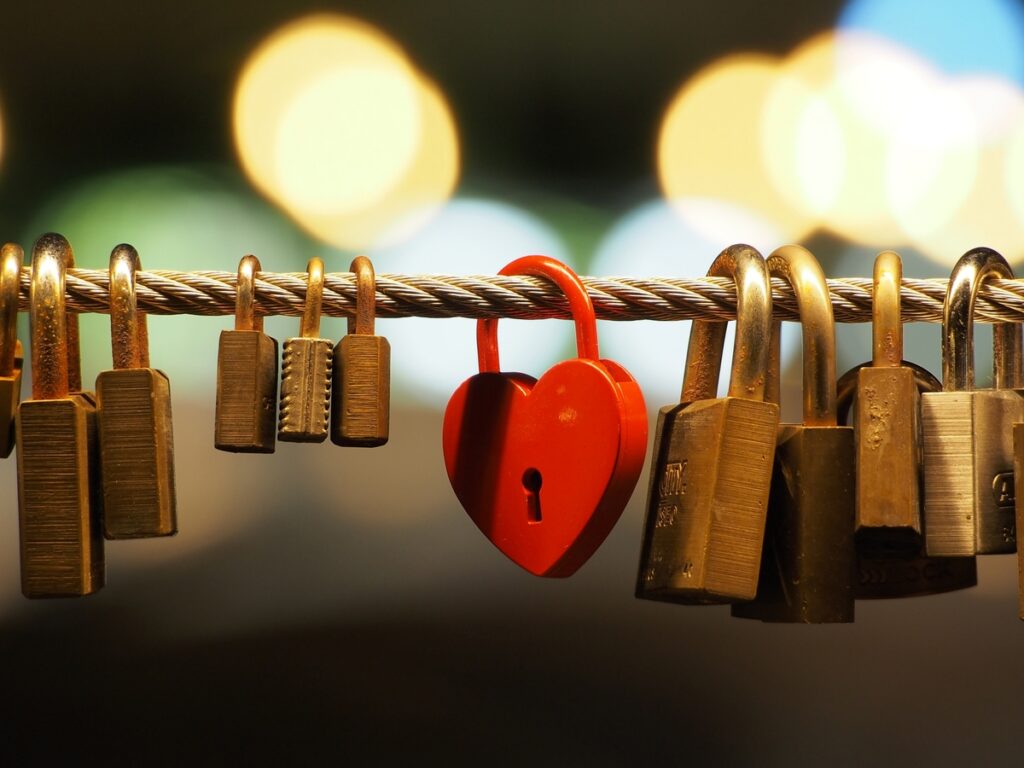 when-was-locks-of-love-founded