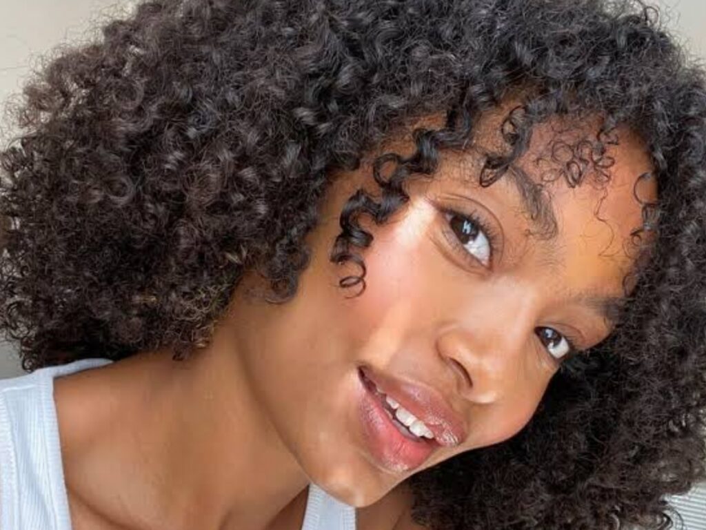 are-senegalese-twist-good-for-natural-hair